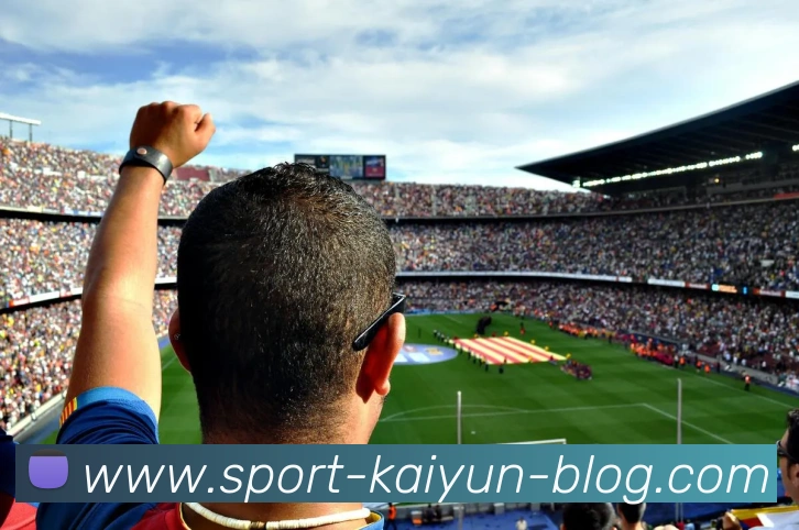 开云体育平台生态图